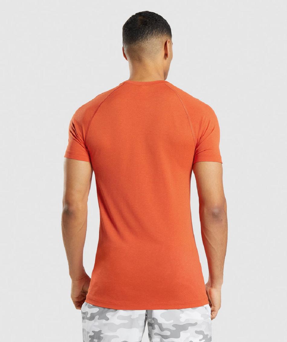 T Shirts Gymshark Vital Light Seamless Hombre Naranjas | CO 3337GSO